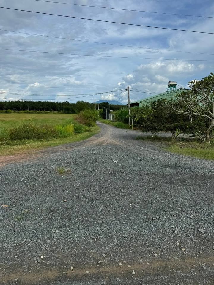 Đất nền Trà Vong Tân Biên 1210m² giá 390 triệu - Tiềm năng nghỉ dưỡng lý tưởng!