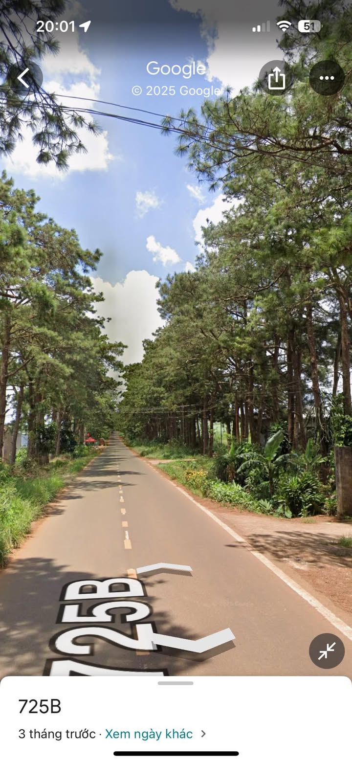 Đất mặt tiền đường nhựa Hàng Thông Tân Hà 600m² giá 9 tỷ - Cơ hội đầu tư hấp dẫn!