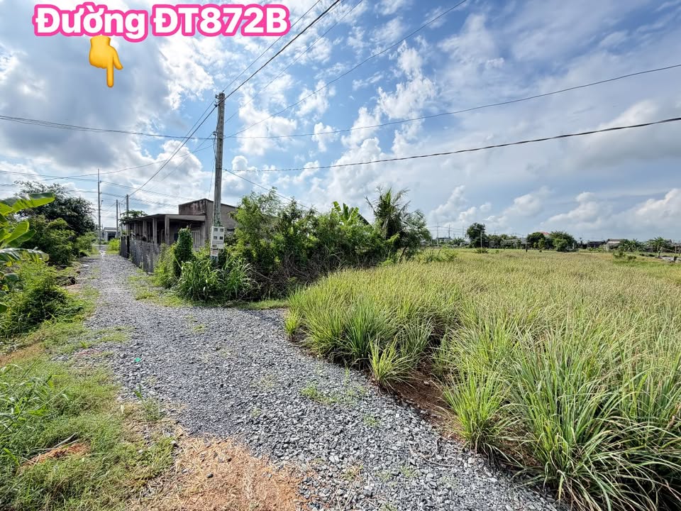 Đất nền mặt tiền ấp Phú Trung, Gò Công Tây 288m² giá 395 triệu - Cơ hội đầu tư sinh lời!