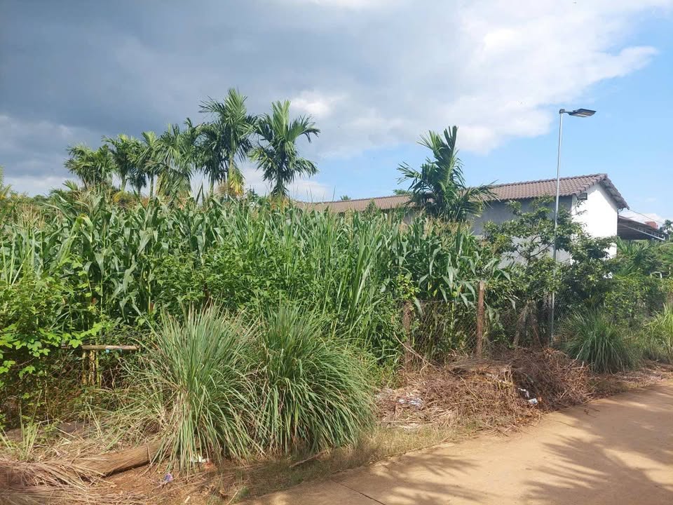 Đất nền Ea Tu, Buôn Ma Thuột 480m² giá 42.24 tỷ - Cơ hội đầu tư tuyệt vời!