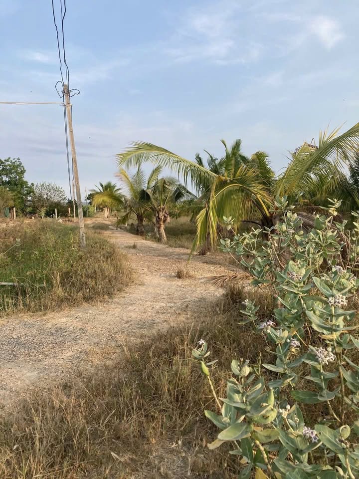 Đất thổ cư 360m² Hồng Liêm, Hàm Thuận Bắc chỉ 110 triệu - Đầu tư sinh lời ngay!