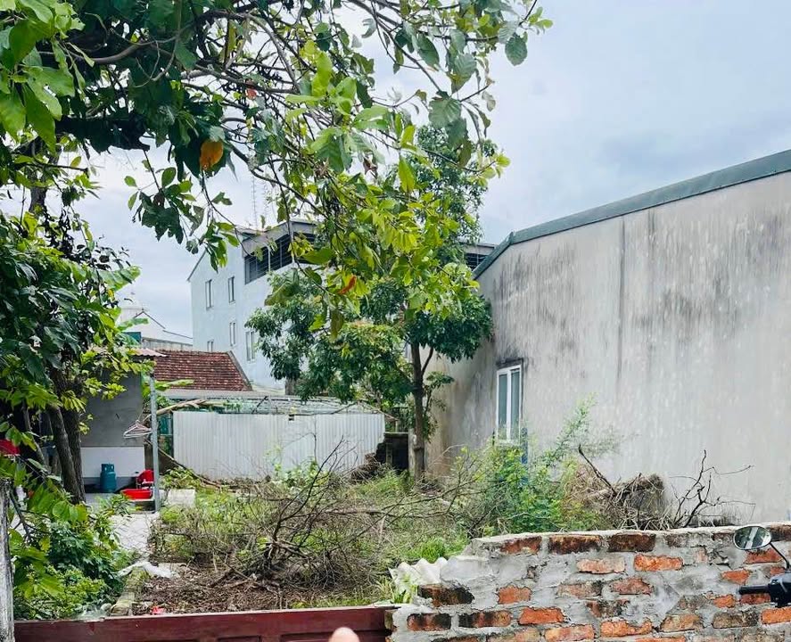 Đất nền đẹp Vĩnh Yên Đông Vĩnh 116,3m² giá 3.65 tỷ - Cơ hội đầu tư tuyệt vời!