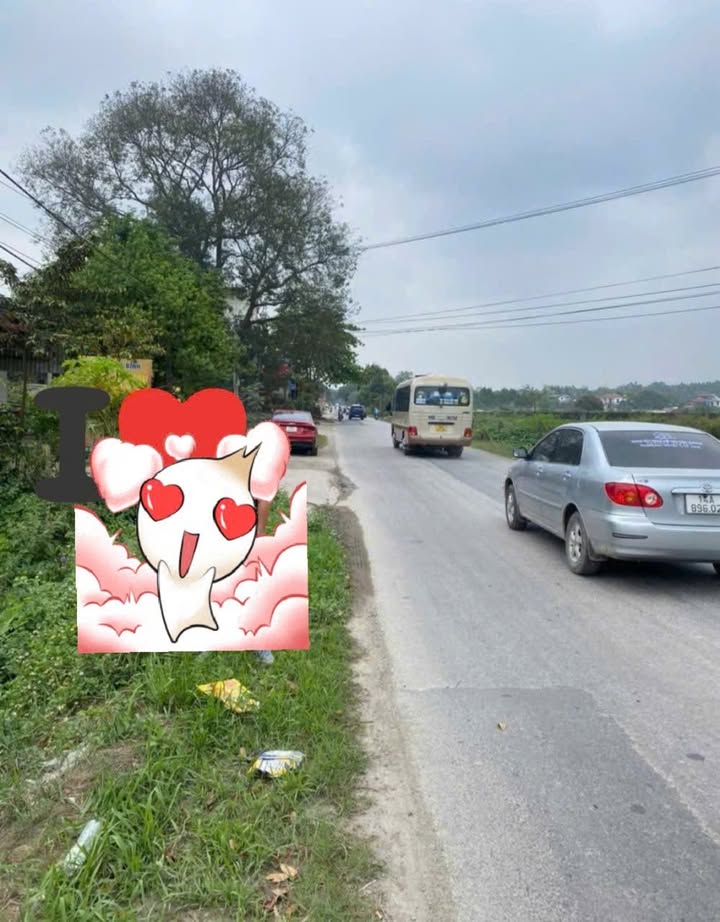 Đất thổ cư 100m² tại Tân Lập, Sông Lô giá chỉ 1.7 tỷ - Cơ hội đầu tư tuyệt vời!