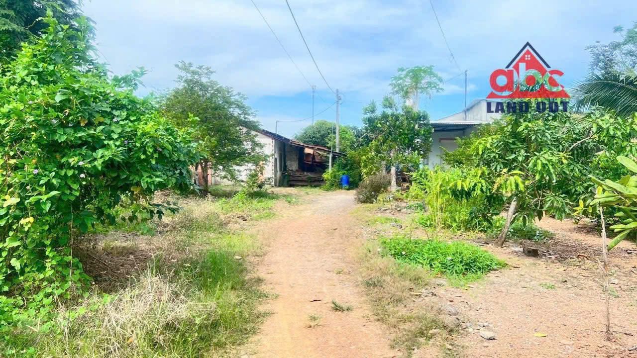 Bán Nhà Vườn 350m² tại xã Trị An, Vĩnh Cửu - Giá chỉ 1.6 tỷ, chính chủ!