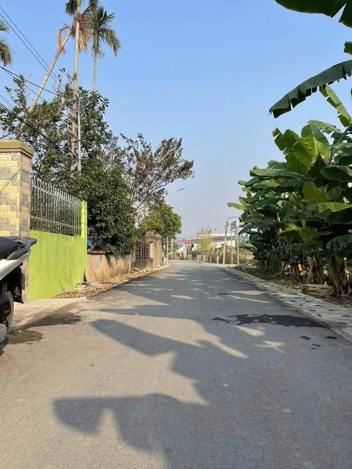 Đất nền An Thọ, An Lão, Hải Phòng 136m² giá 1.1 tỷ - Cơ hội đầu tư tuyệt vời!