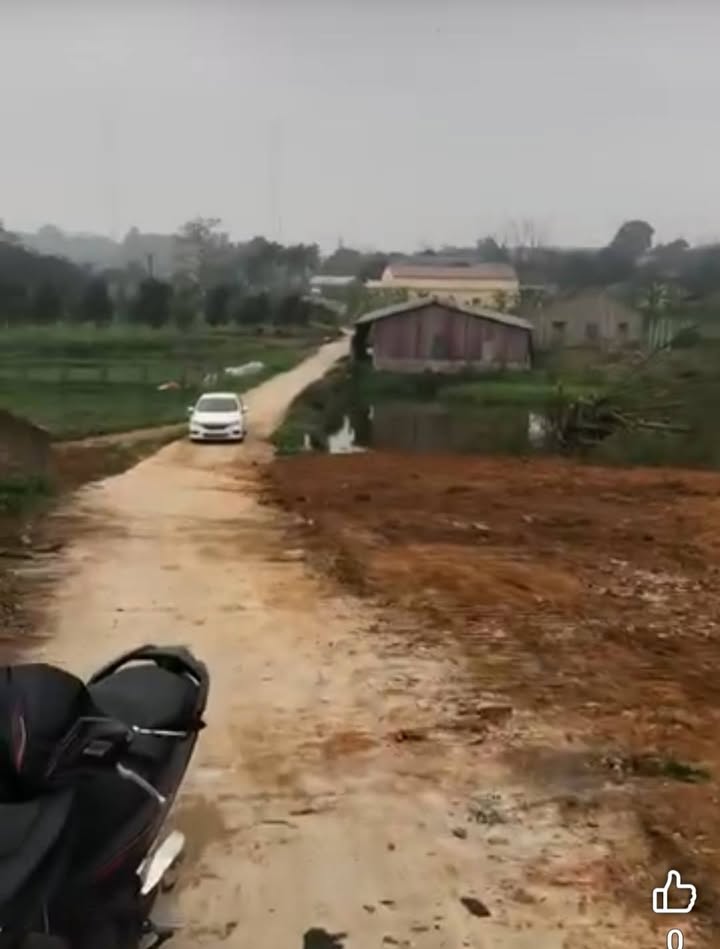 Đất thổ cư 300m² tại Đông Cao, Ba Vì - Giá chỉ 5 tỷ - Đường ô tô vào tận nơi!