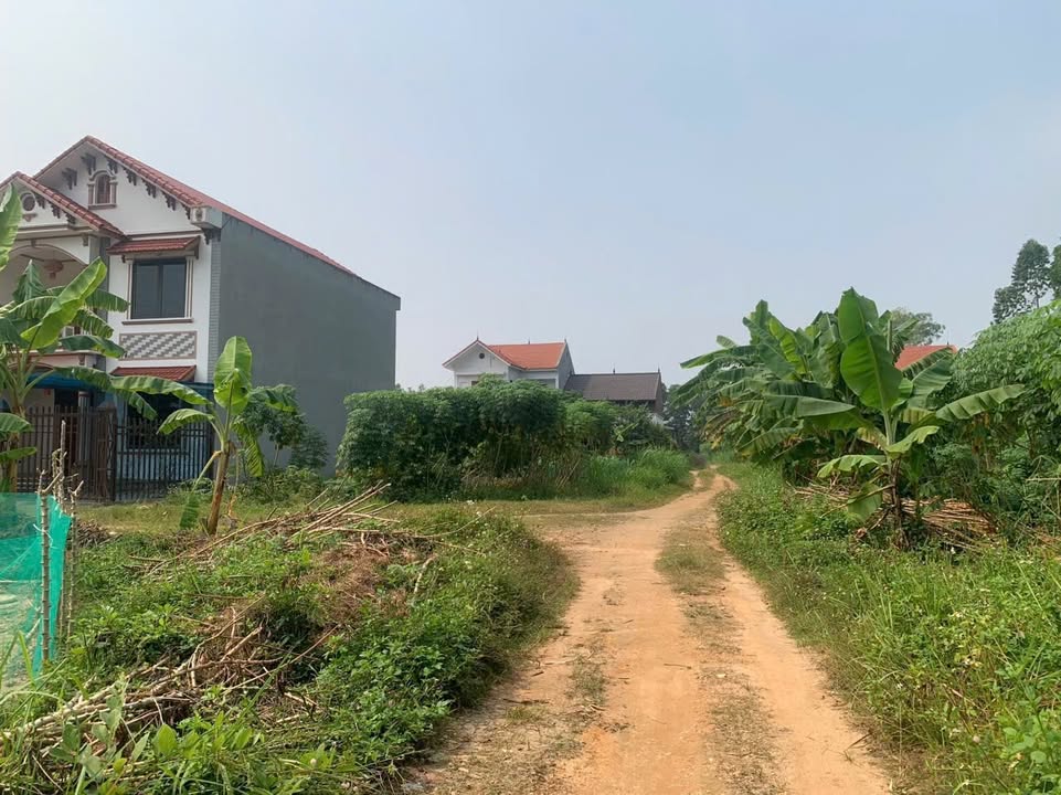 Đất 2 mặt tiền khu TDC Trầm Lình - Phượng Lâu - Việt Trì 108m² giá 2 tỷ - Đầu tư sinh lời ngay!