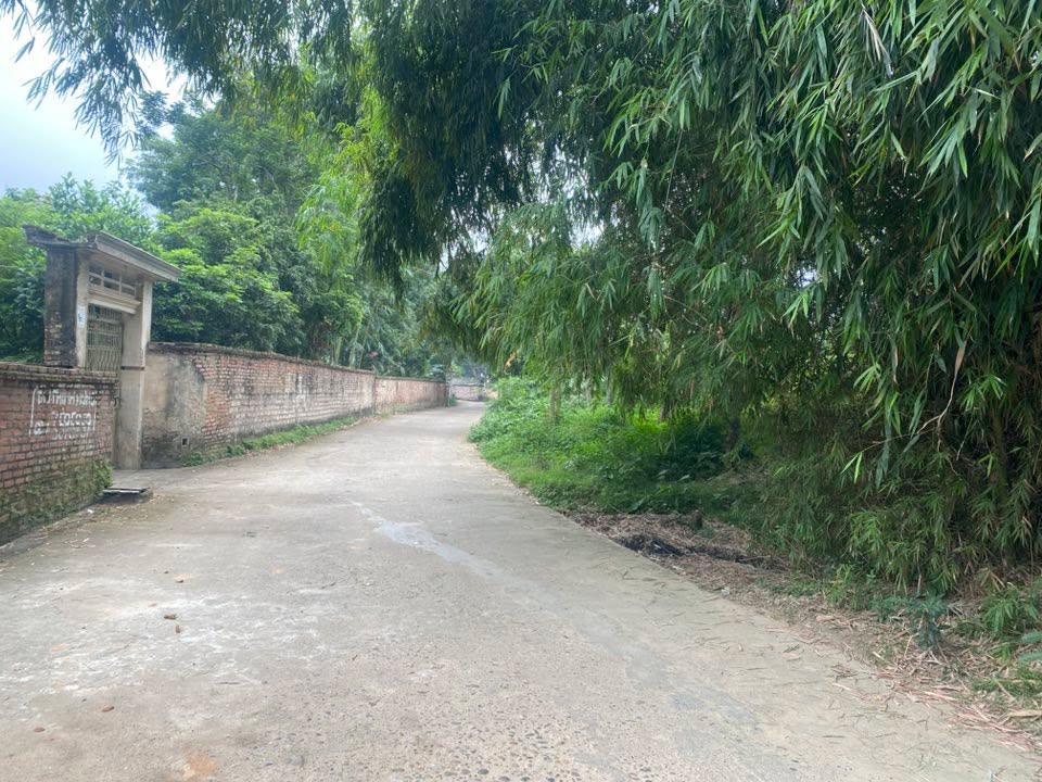 Đất nền siêu tiềm năng tại Việt Trì 130m² - Gần đường Nguyễn Du