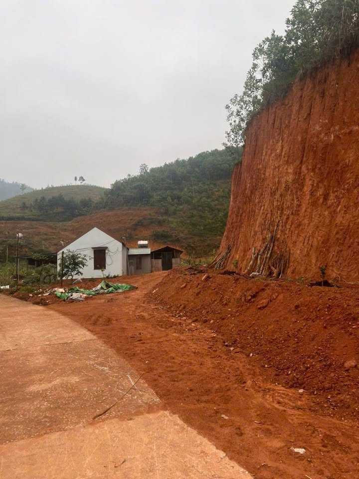 Trang trại 1,7ha tại Minh Đài, Tân Sơn - Năng suất cao với 300 cây Cam