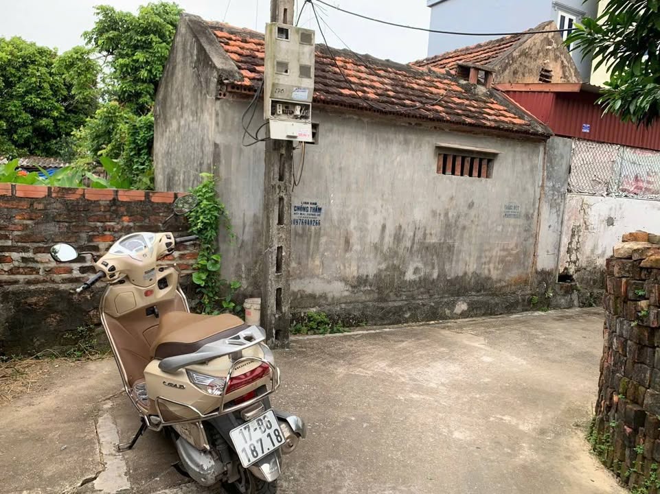 Đất nền Diêm Điền Thái Thụy 114m² giá 1 tỷ - Cơ hội đầu tư tuyệt vời!