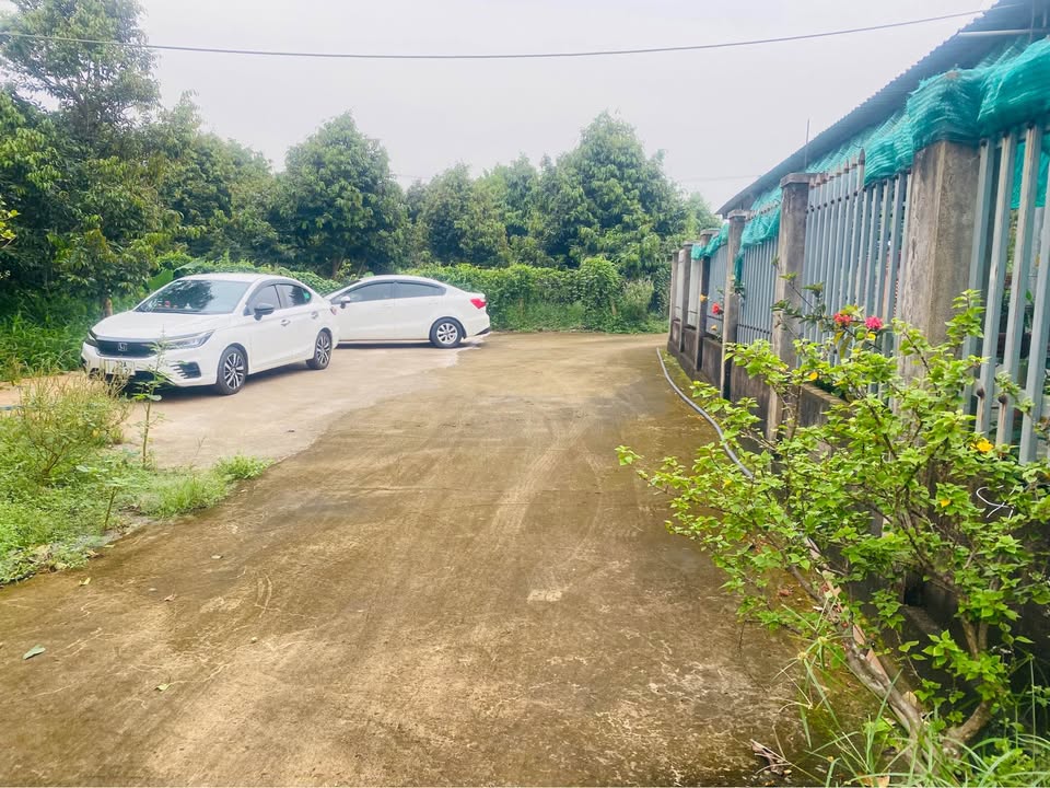 Bán đất thổ cư 550m² đường 89, Phường Tam Long, Bà Rịa - Giá chỉ 2.25 tỷ!