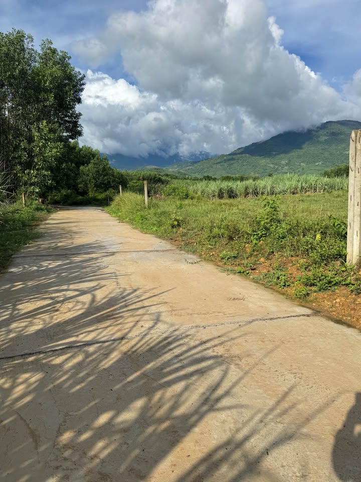 Đất vườn Diên Lâm 525m² giá 200 triệu - Cạnh khu dân cư đông đúc