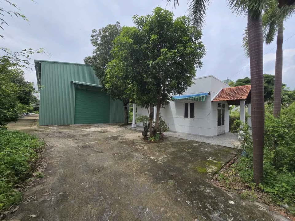 Nhà xưởng cho thuê đường Hà Huy Giáp, quận 12 - Diện tích 900m², giá chỉ 20 triệu/tháng!