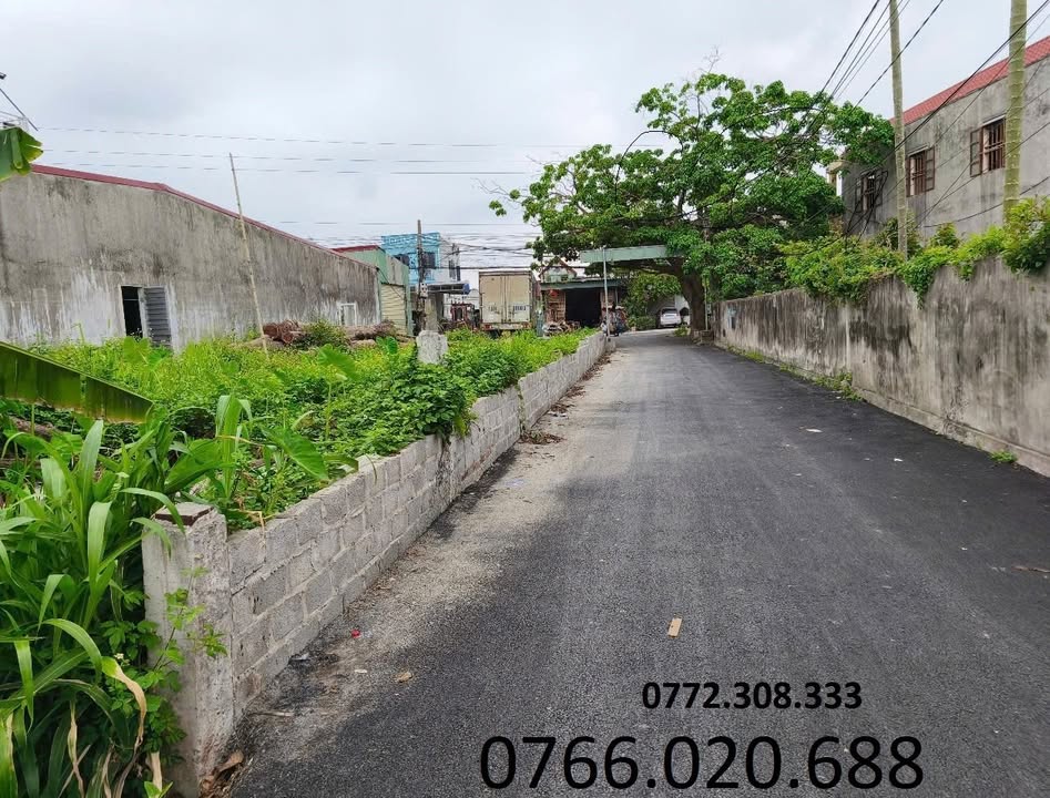 Đất nền Hoà Nghĩa, Dương Kinh 1042m² giá 16 tỷ - Đầu tư sinh lời cao!