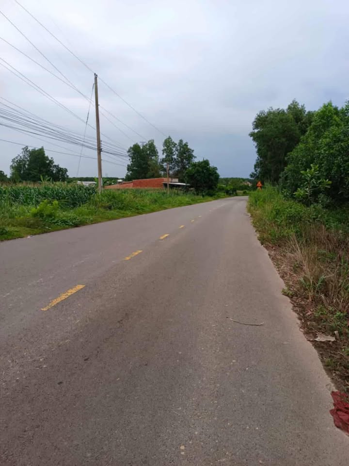 Đất nền Xuân Trường 3600m² giá 1.5 tỷ - Mặt tiền đường nhựa thuận lợi!