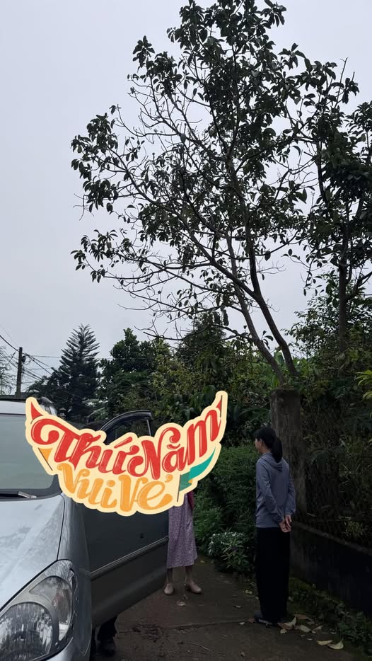 Nhà cấp 4 Hưng Lộc, 208m² giá 1.75 tỷ - Sổ hồng chính chủ, tiện ích đầy đủ!