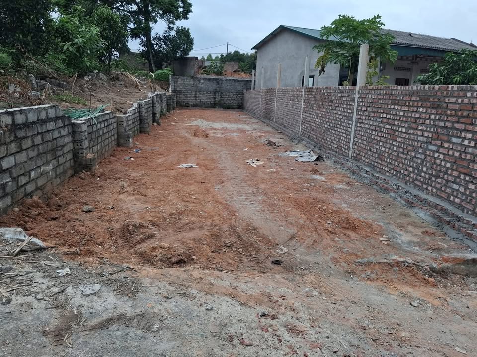 Đất thổ cư Yên Sơn, Tam Dương 120m² giá 1.2 tỷ - Cơ hội đầu tư sinh lời!