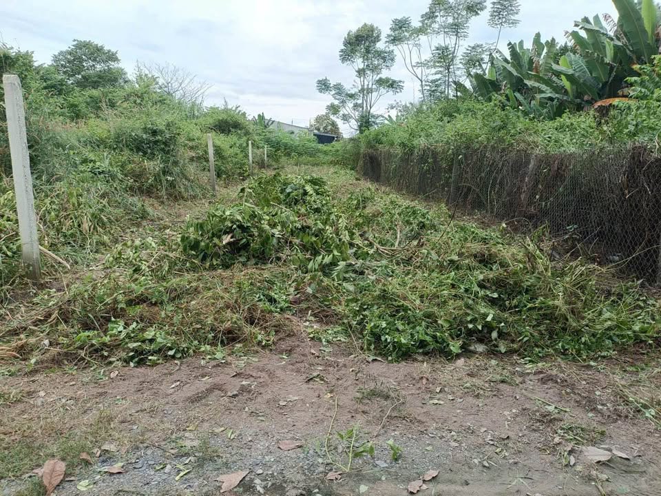 Đất thổ cư hẻm 88 Nguyễn Văn Linh, Long Hoa 162m² giá 1.75 tỷ - Thương lượng nhẹ!