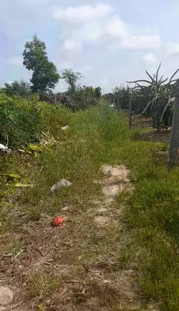 Đất nền Tân Hải Lâm Đồng 1950m² chỉ 900 triệu - Cơ hội đầu tư hấp dẫn!