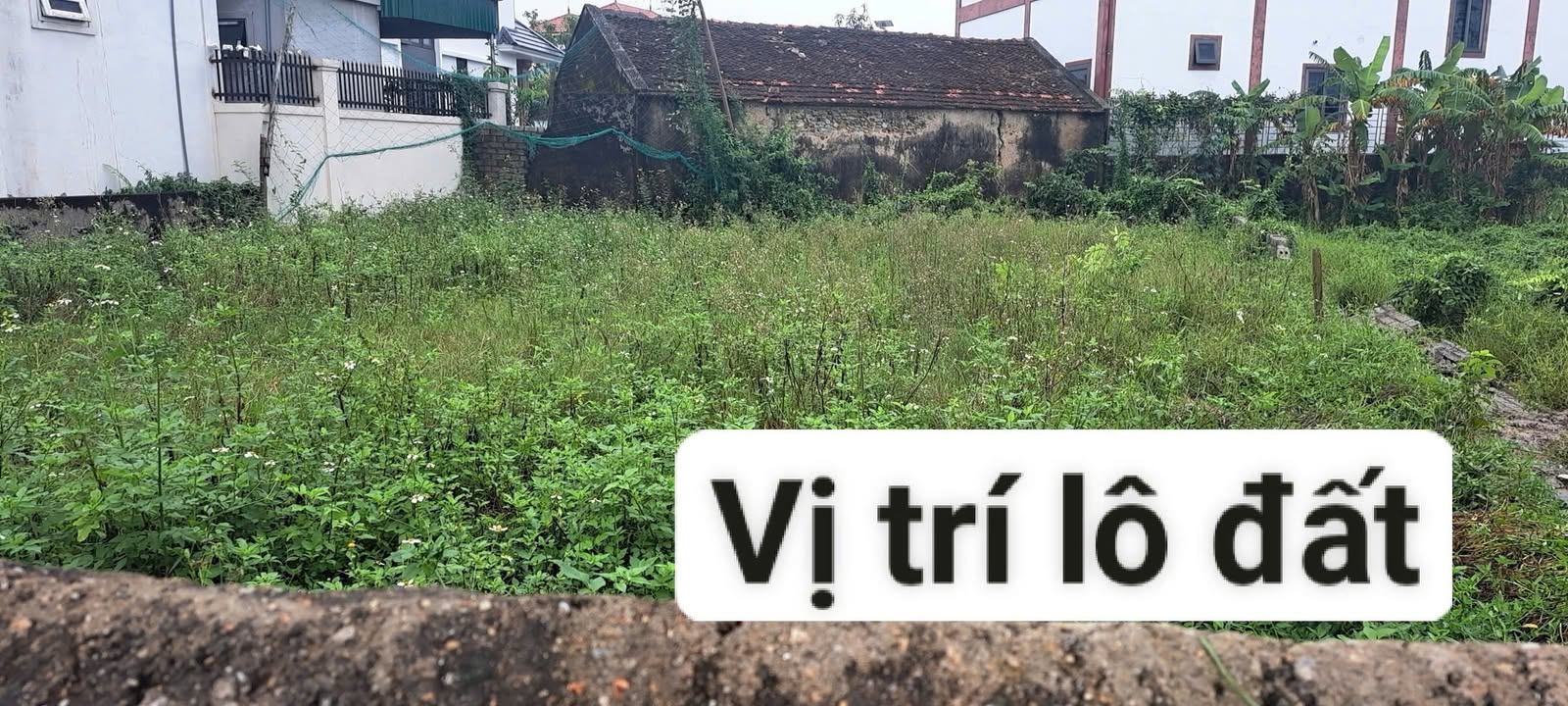 Lô đất 180m² tại Xóm Xuân Lai, Đô Thành, Yên Thành - Cơ hội đầu tư hiếm có!