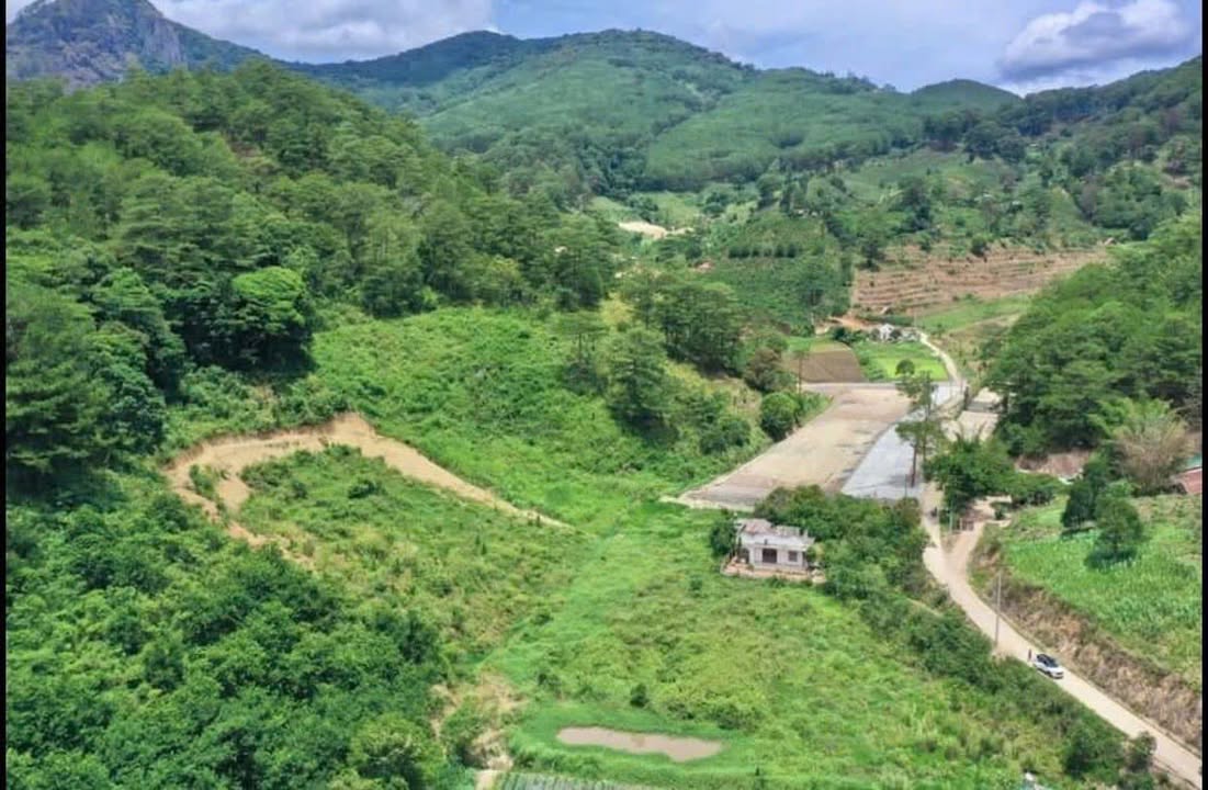 Đất 2 mặt tiền Hiệp An, Đức Trọng, Lâm Đồng 279,3m² giá 5,5 tỷ - Đầu tư sinh lời ngay!