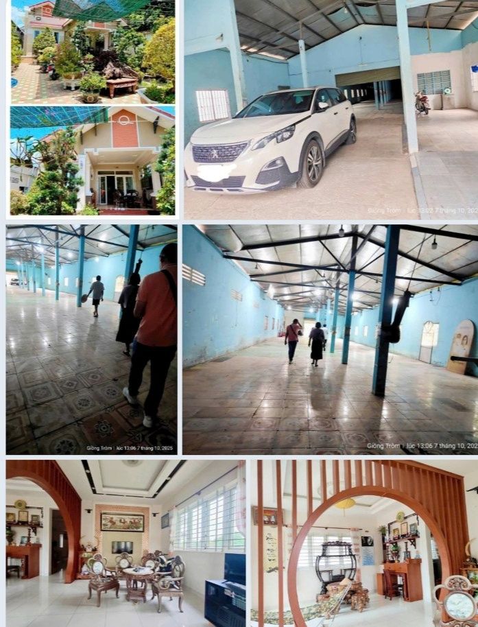 Bán gấp Farm mặt tiền QL57C, Phú Nhuận, Bến Tre 1.300m² giá chỉ 9.5 tỷ - Tiềm năng đầu tư lớn!