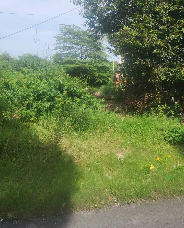 Đất mặt tiền đường Huyện 16, Đông Thuận, Thới Lai 932m² - Đầu tư sinh lời ngay!