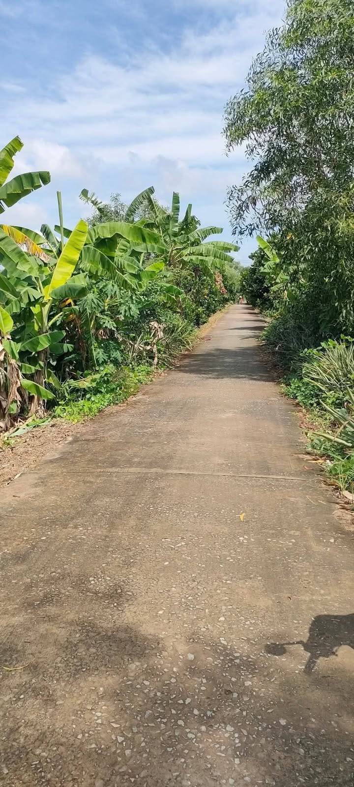 Đất nền 23 công Nhơn Hòa Tân Thạnh 23.000m² giá 8.011 tỷ - Mặt tiền 35m, ô tô vào tận nơi!