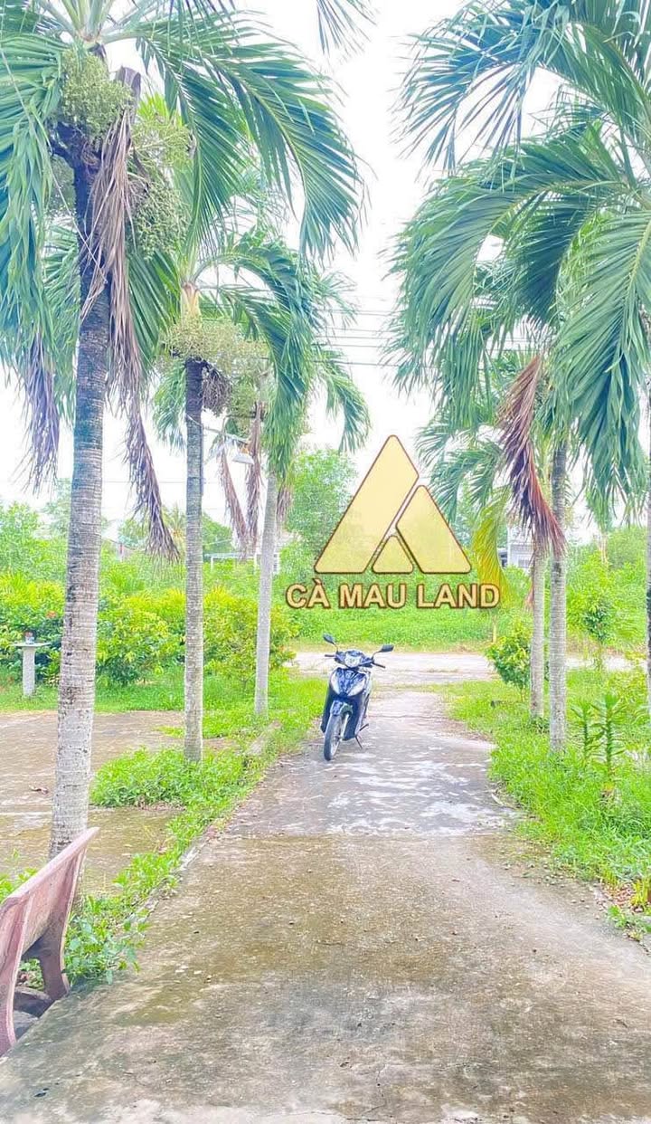 Nhà cấp 4 Tân Thành Cà Mau 1980m² giá 1 tỷ - Không gian rộng rãi với nhiều cây ăn trái!