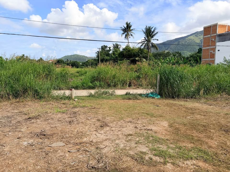 Đất thổ cư mặt tiền đường Cây Duối, Diên An 101m² giá 1.79 tỷ - Cơ hội đầu tư hấp dẫn!