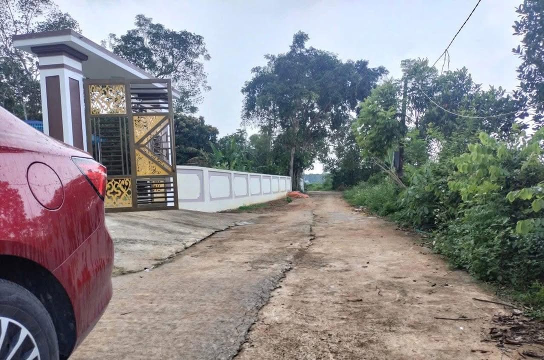 Đất nền Thọ Tân - Triệu Sơn 148m² giá chỉ 200 triệu - Cơ hội đầu tư tuyệt vời!