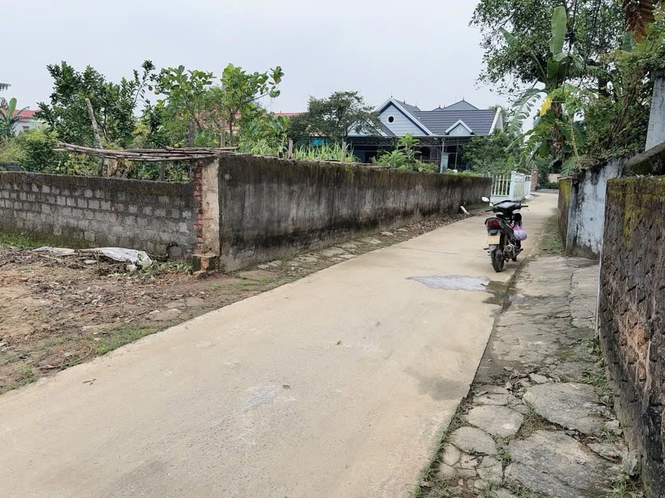 Đất nền Thọ Phú Triệu Sơn 111m² giá 350 triệu - Đường thông tứ phía, dân cư thân thiện!