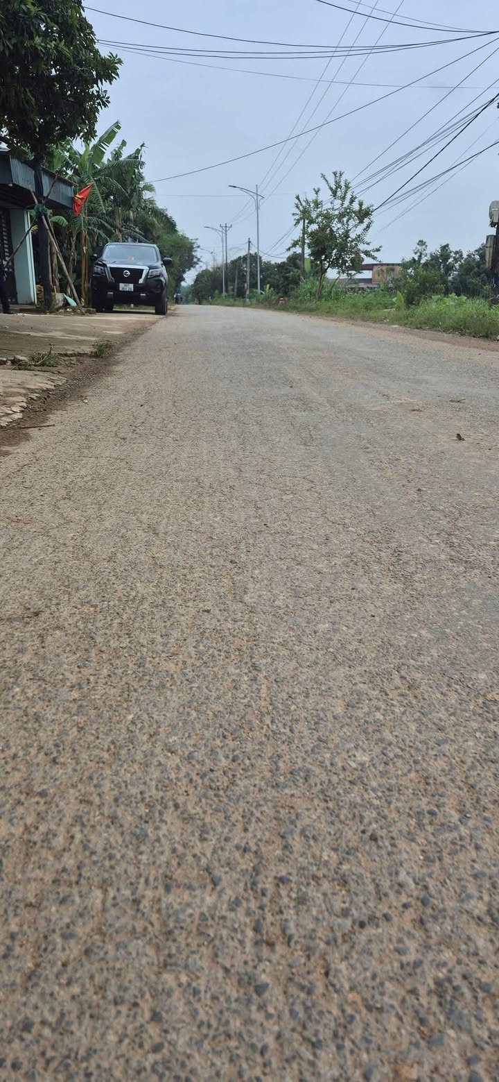 Đất nền đường Trịnh Khắc Phục, Thị trấn Sao Vàng, 100m² giá 800 triệu - Cơ hội đầu tư tuyệt vời!