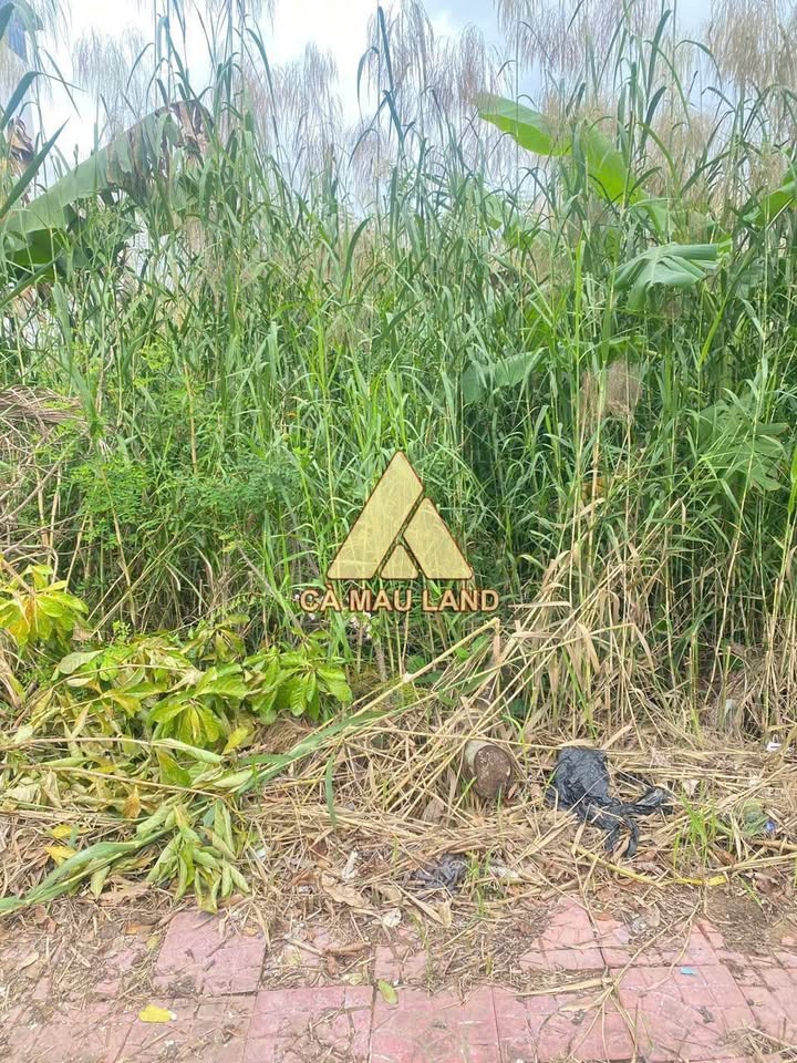 Đất nền đường Tố Hữu, Cà Mau 107.5m² giá chỉ 1 tỷ - Sổ hồng chính chủ!