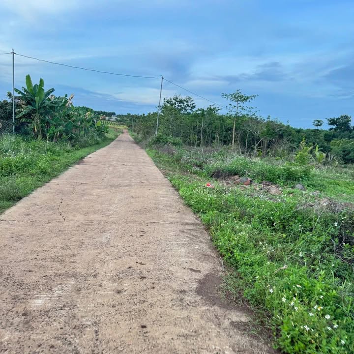 Đất thổ cư Đắk Gằn 1000m² giá 320 triệu - Sổ đỏ chính chủ, đầu tư sinh lời!