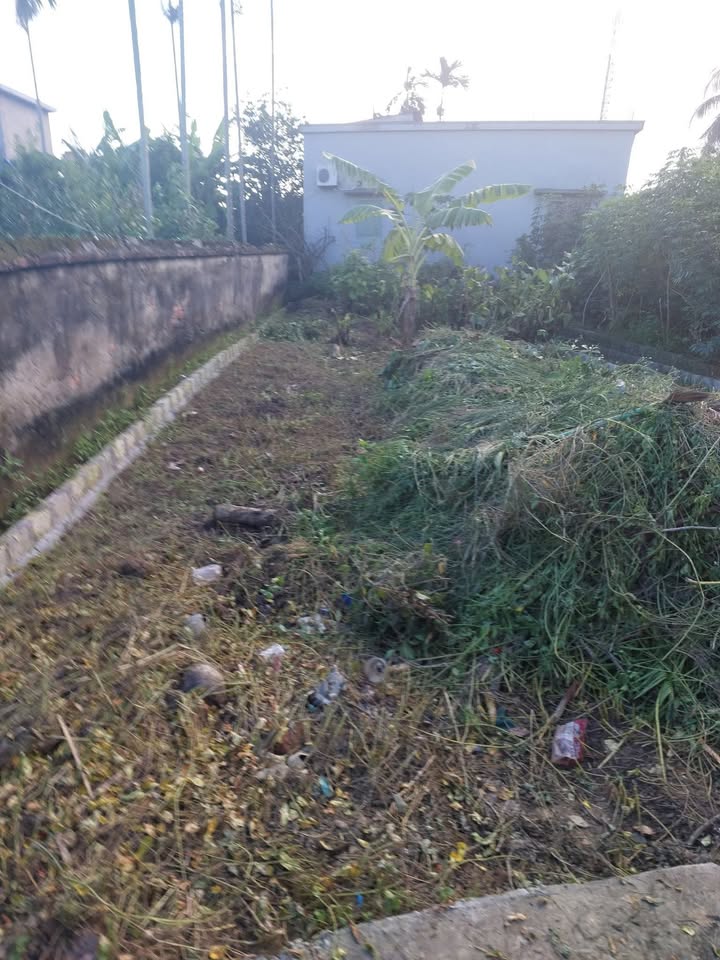 Đất nền Thanh Khê, Thanh Lương 93.7m² giá 800 triệu - Đầu tư sinh lời ngay!