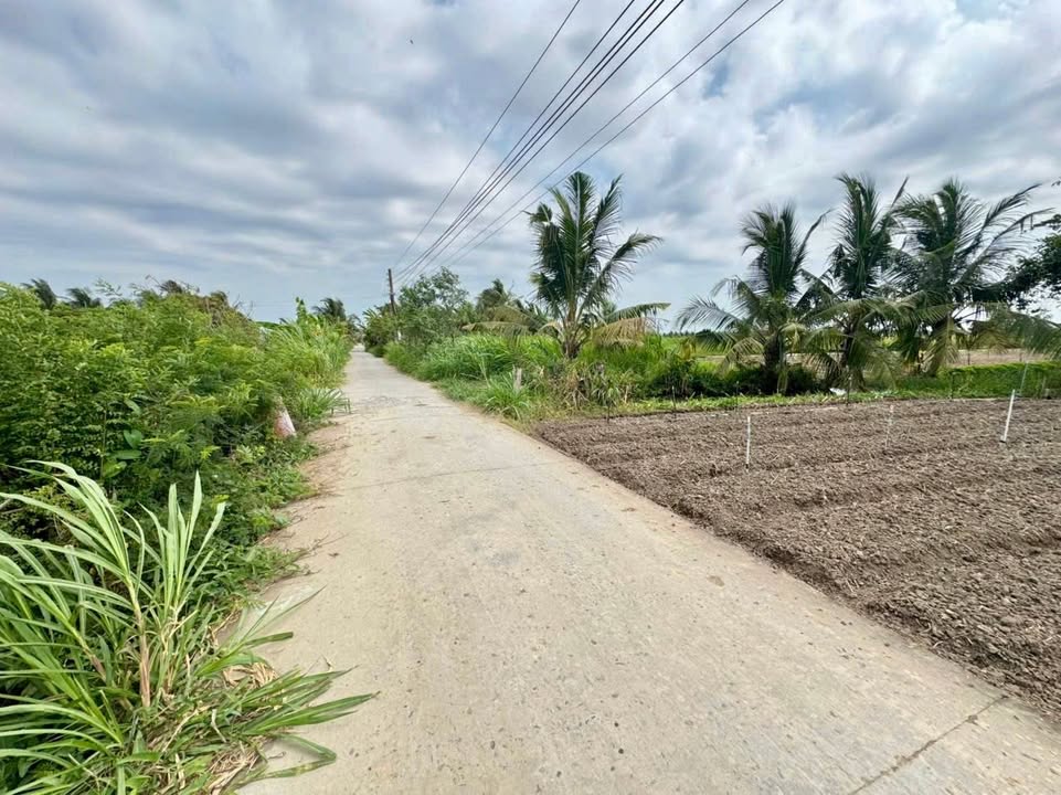 Đất lúa 15520m² mặt tiền Kênh 2 - Giá chỉ 5.908 tỷ, thương lượng tốt!