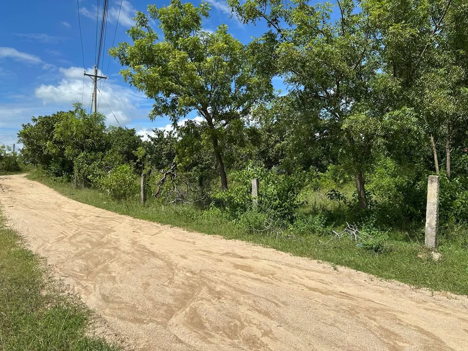 Đất vườn Ninh Sơn Khánh Hòa 1ha - Tiềm năng kinh doanh vượt trội!