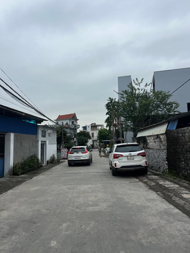 Đất nền Bạch Đằng Thủy Nguyên 300m² giá 2.1 tỷ - Cơ hội đầu tư tiềm năng!