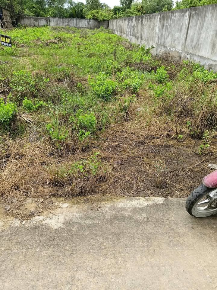 Đất nền Bình Đại Bến Tre 581m² giá 6.39 tỷ - Mặt tiền đường thuận tiện!