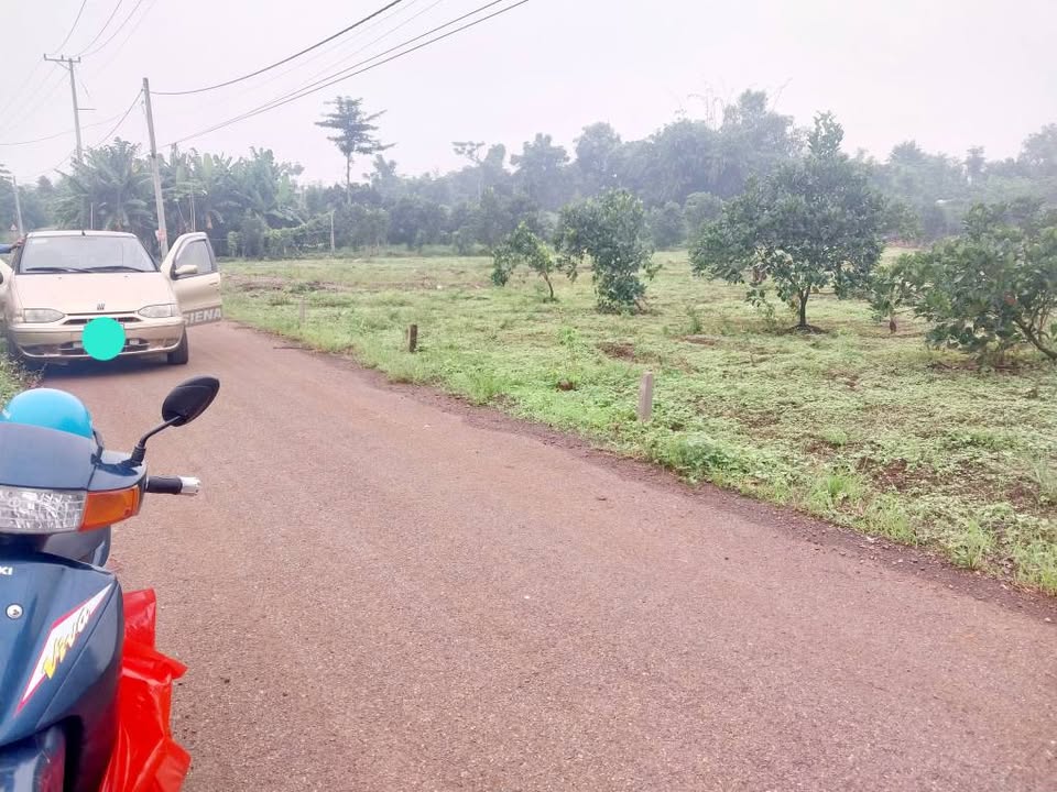 Đất nền Đá Bạc Châu Đức 1200m² giá 1.35 tỷ - Vị trí đẹp, phong thủy tốt!