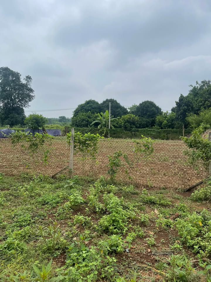 Lô đất 1 sào 2 tại Bảo Vinh, Long Khánh giá 1 tỷ - Cơ hội đầu tư tuyệt vời!