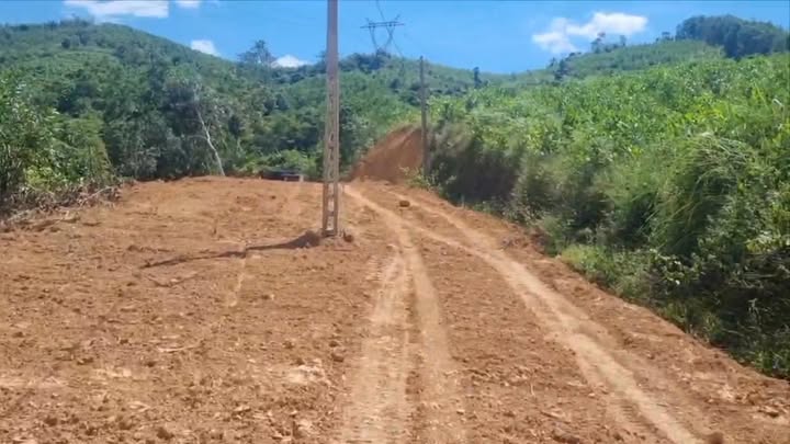 Đất nông nghiệp tại thôn 6, xã Tân Bình, Thanh Hóa 50,100m² - Pháp lý rõ ràng, giá cả thỏa thuận!