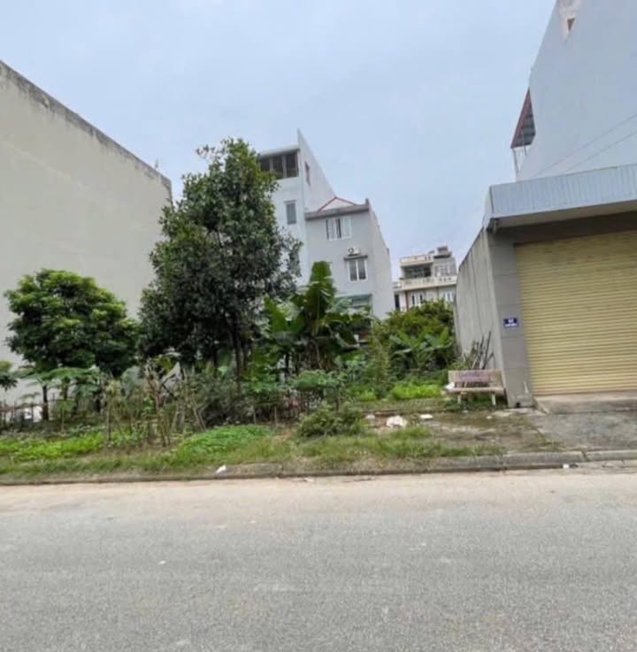 Đất nền Vi Đức Thăng, Xương Giang, Bắc Giang 230m² - Giá hợp lý, cơ hội đầu tư!