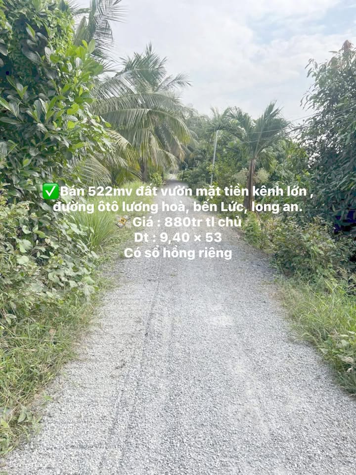 Đất vườn 522m² Lương Hòa, Bến Lức - Giá 880 triệu, mặt tiền kênh lớn!
