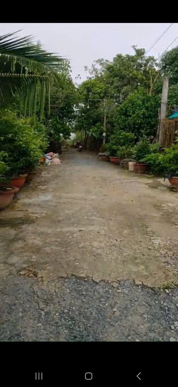 Đất thổ cư An Thạnh, Mộc Hóa 100m² giá 800 triệu - Mặt tiền sông thoáng mát