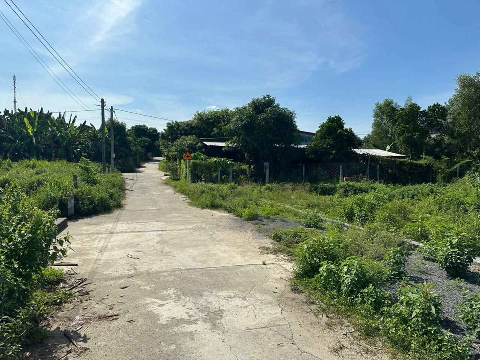 Đất thổ cư Diên Lâm 929m² giá 2.5 tỷ - Cơ hội đầu tư tuyệt vời!