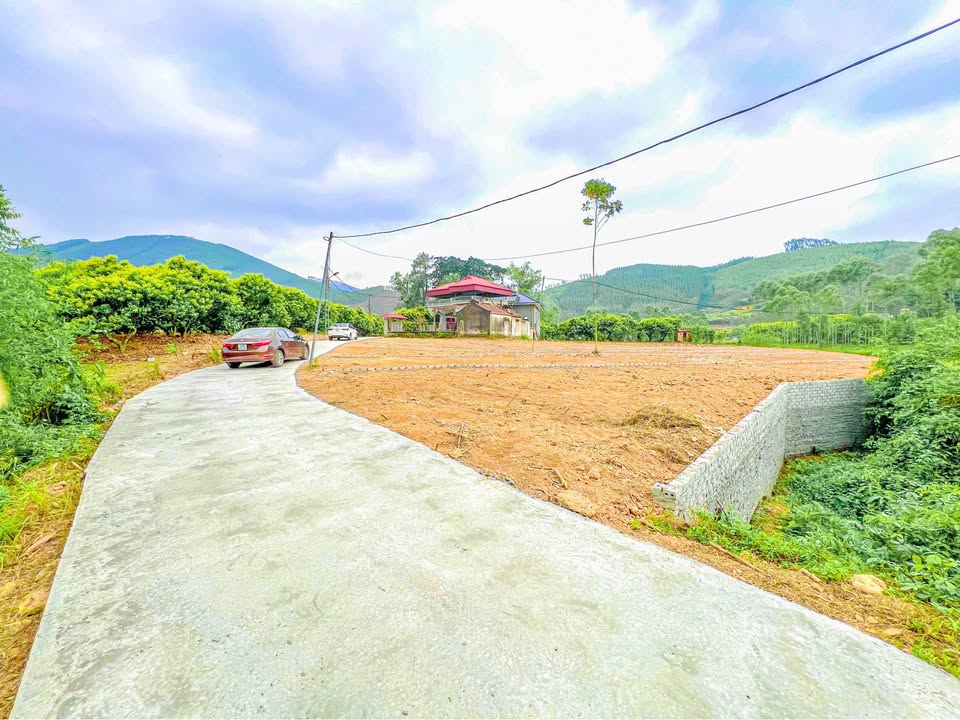 Đất nền Nghĩa Phương Lục Nam 232m² giá chỉ 200 triệu - Sổ đỏ chính chủ!