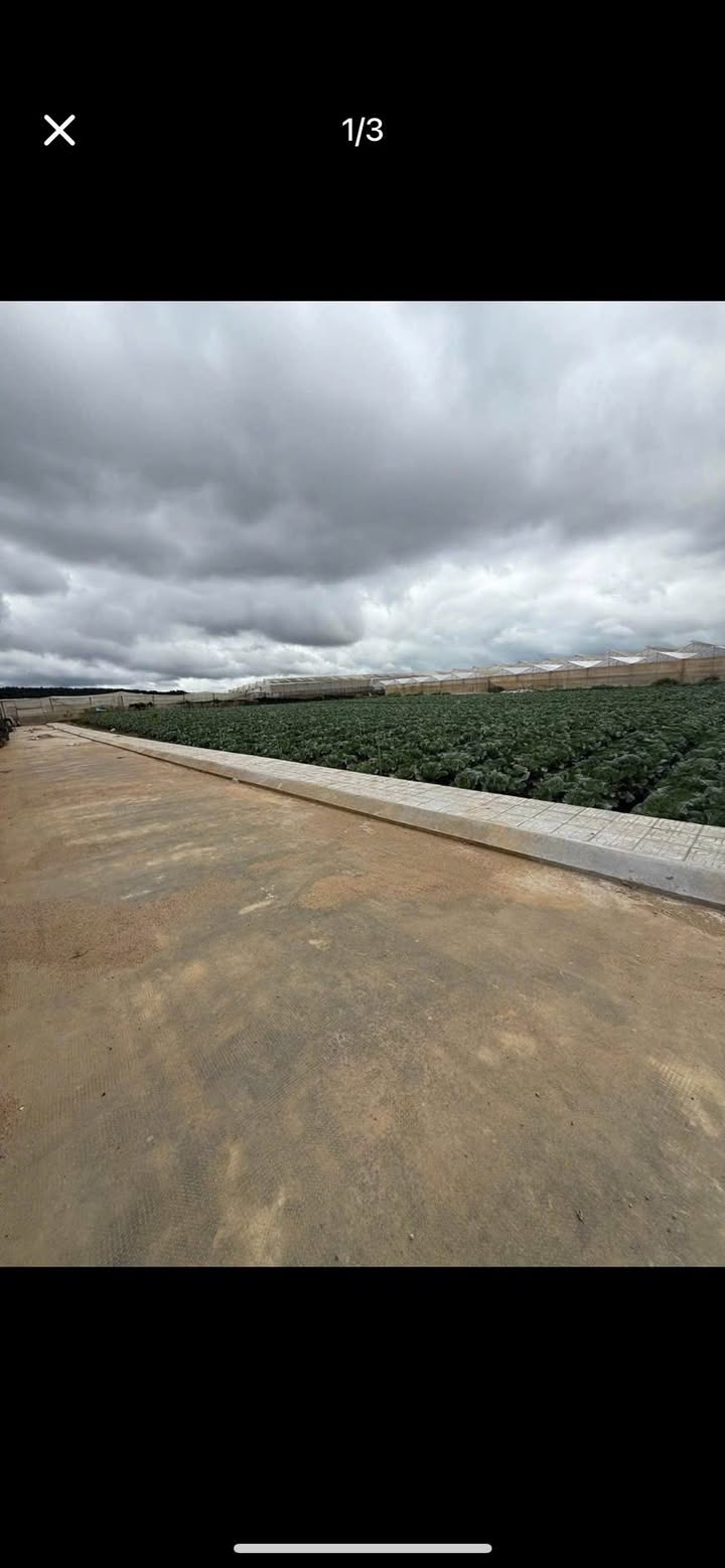 Đất nền Thạnh Mỹ, Đơn Dương 125m² giá 570 triệu - Cơ hội đầu tư vàng!