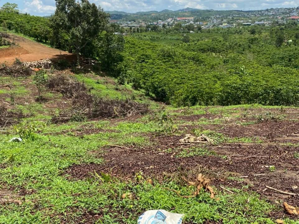 Đất nền Lộc Châu Bảo Lộc 6300m² giá 2.556 tỷ - Cơ hội đầu tư tuyệt vời!